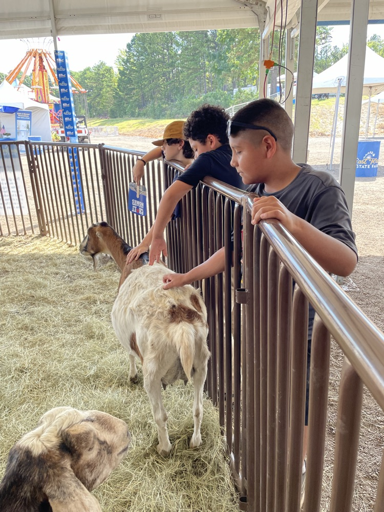 kids at the fair