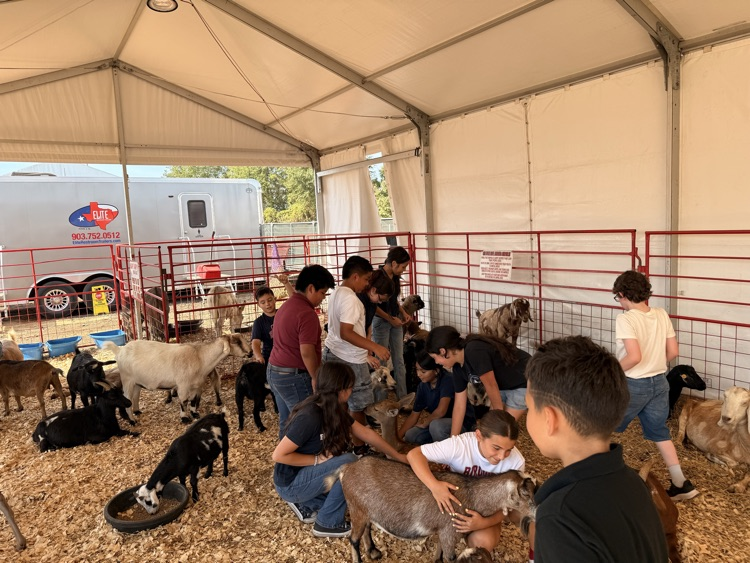 students with animals at the fair
