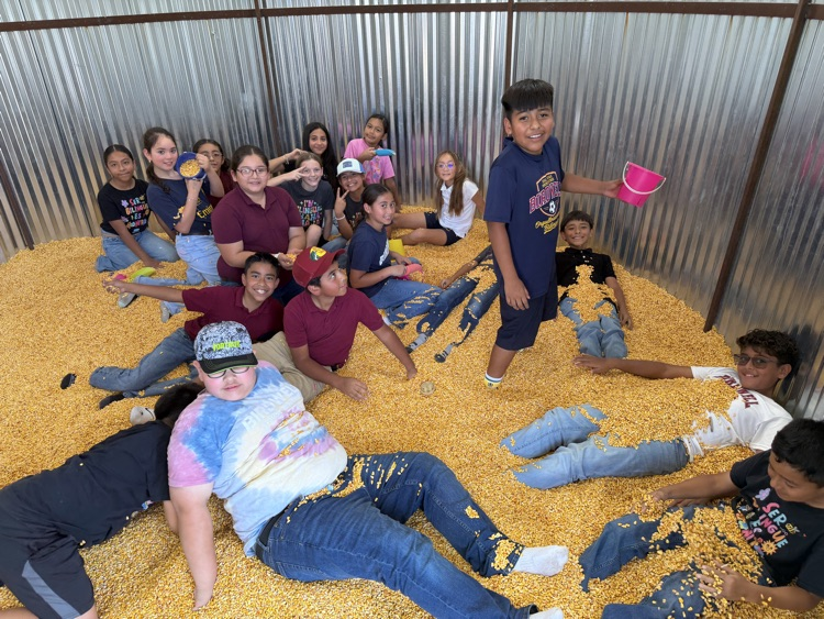 group pic of students at the fair
