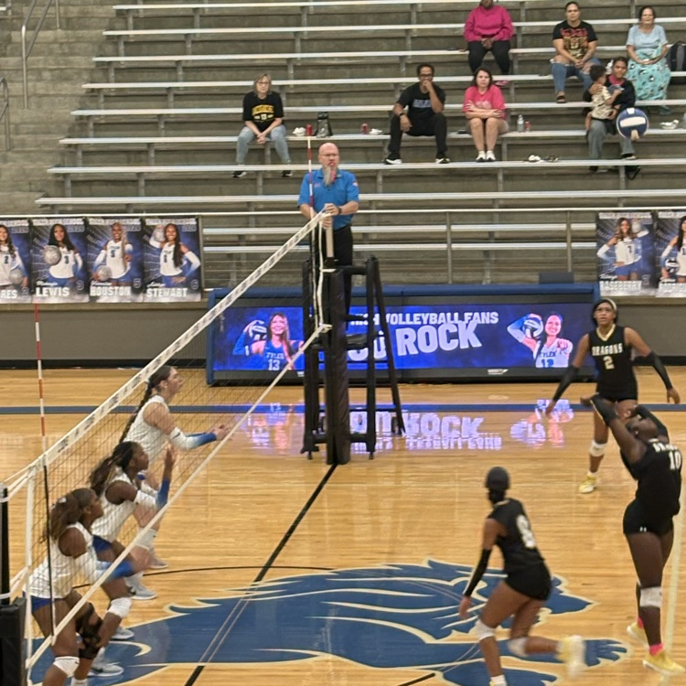 volleyball game