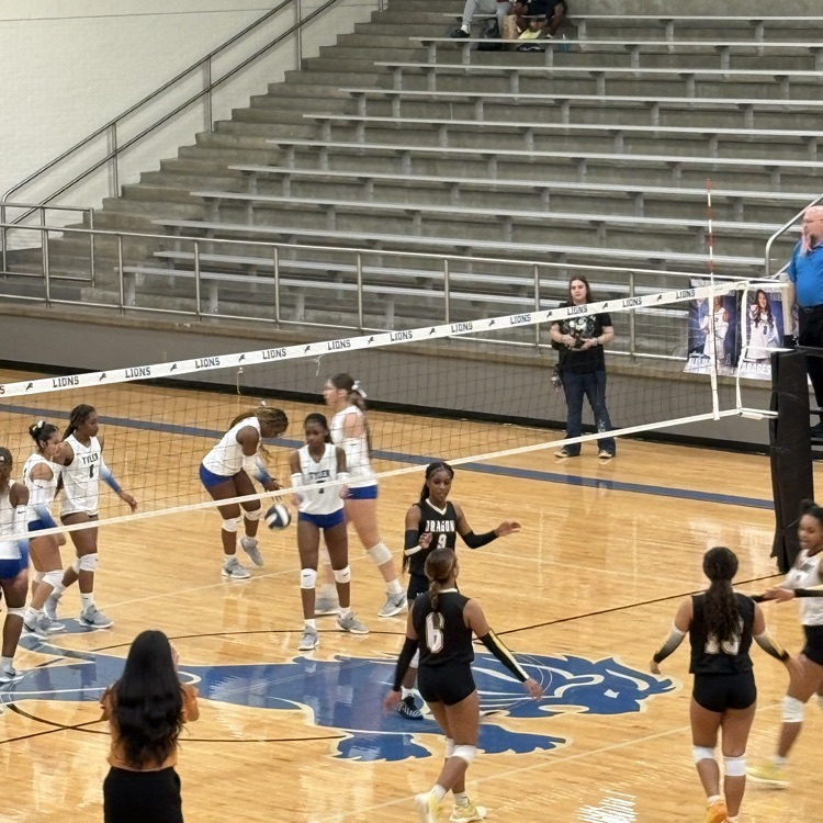 volleyball game
