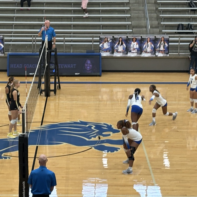 volleyball game