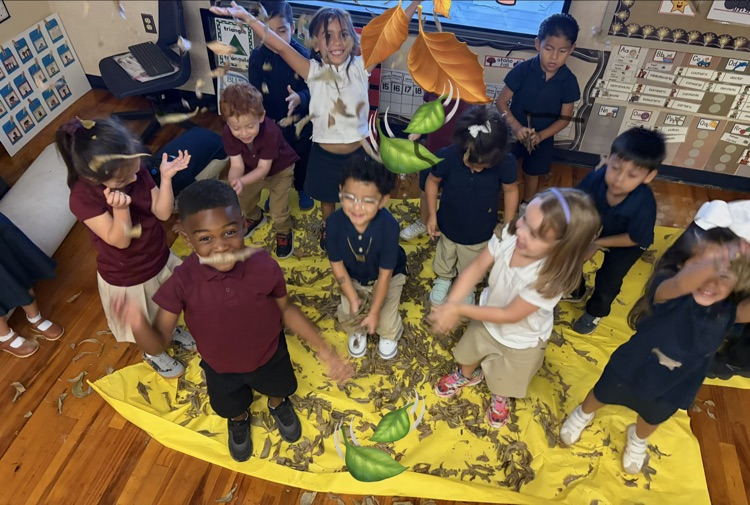 students playing in the leaves