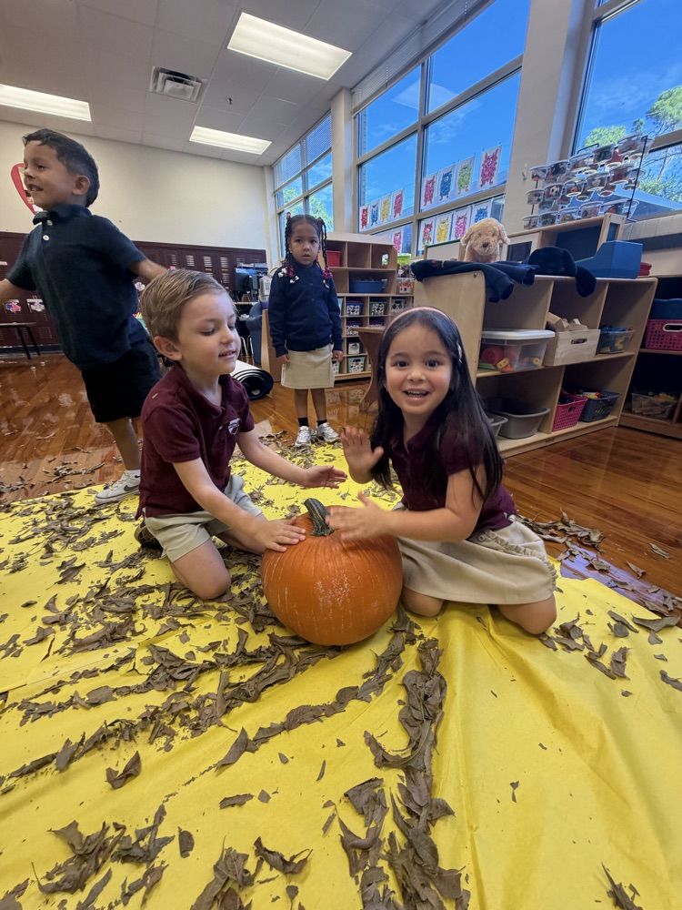 students in leaves