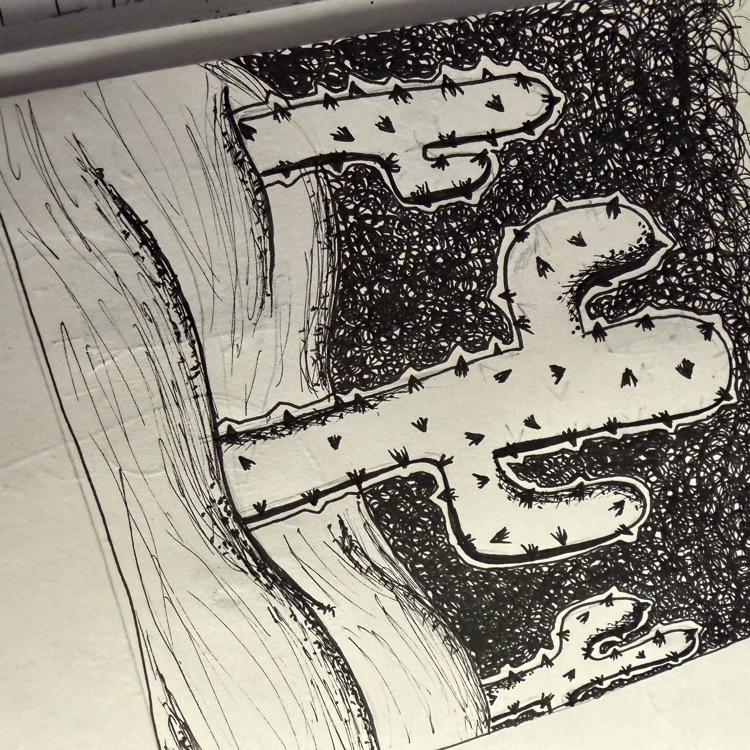 picture of a cactus for inktober