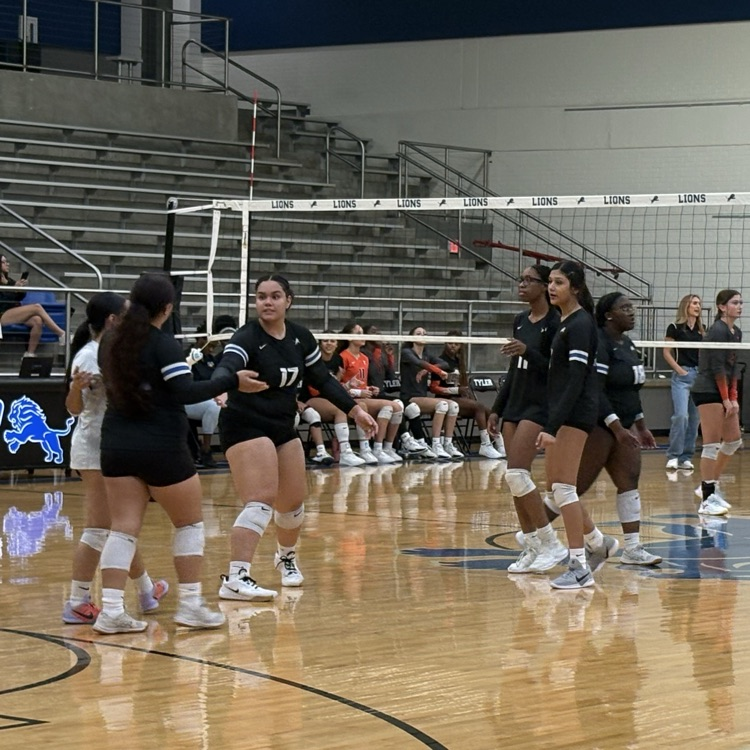 volleyball players on the court
