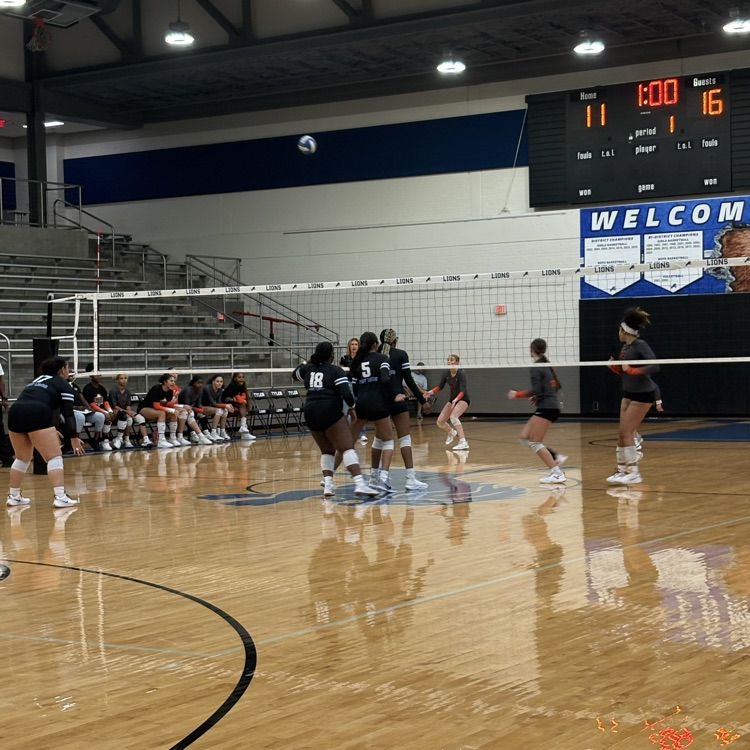 volleyball players on the court