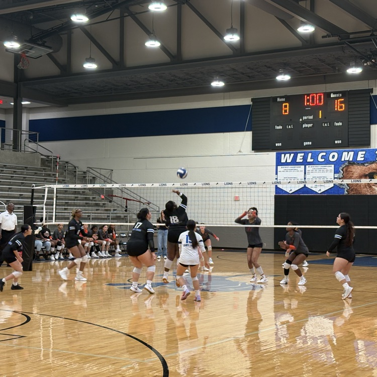 volleyball players hitting the ball