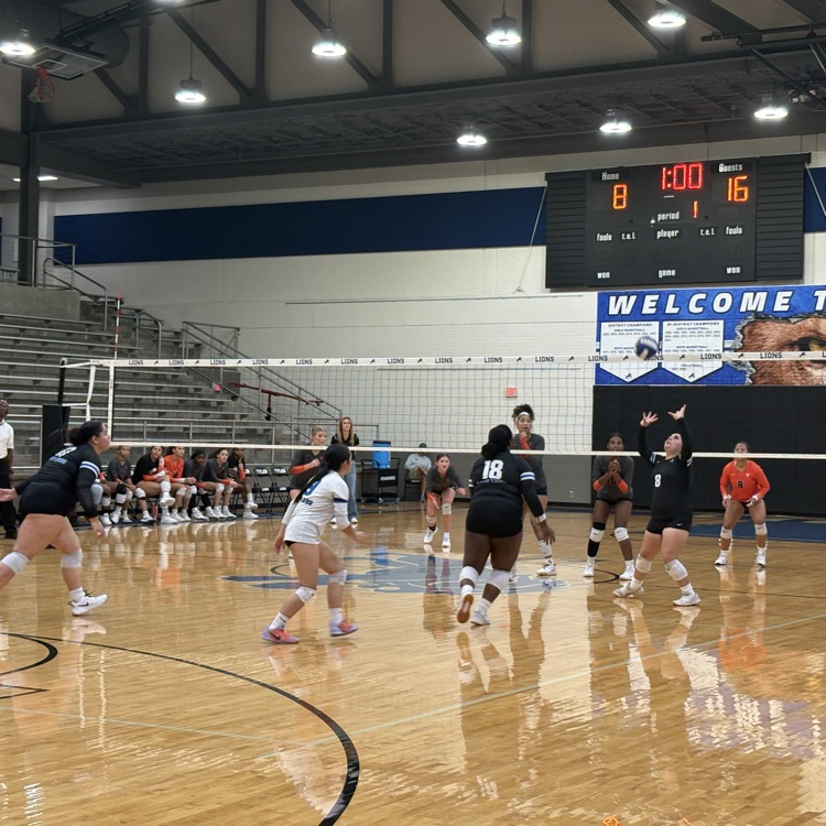 volleyball players hitting the ball