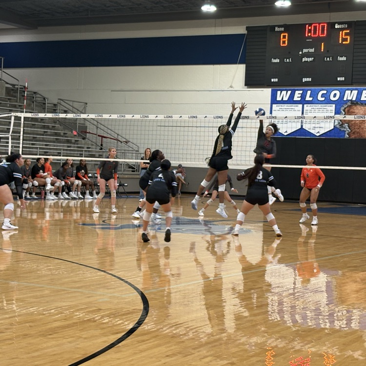 volleyball players jumping to hit the ball