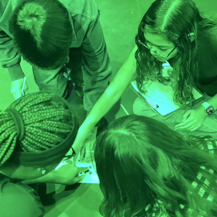 students sorting candy in green lights