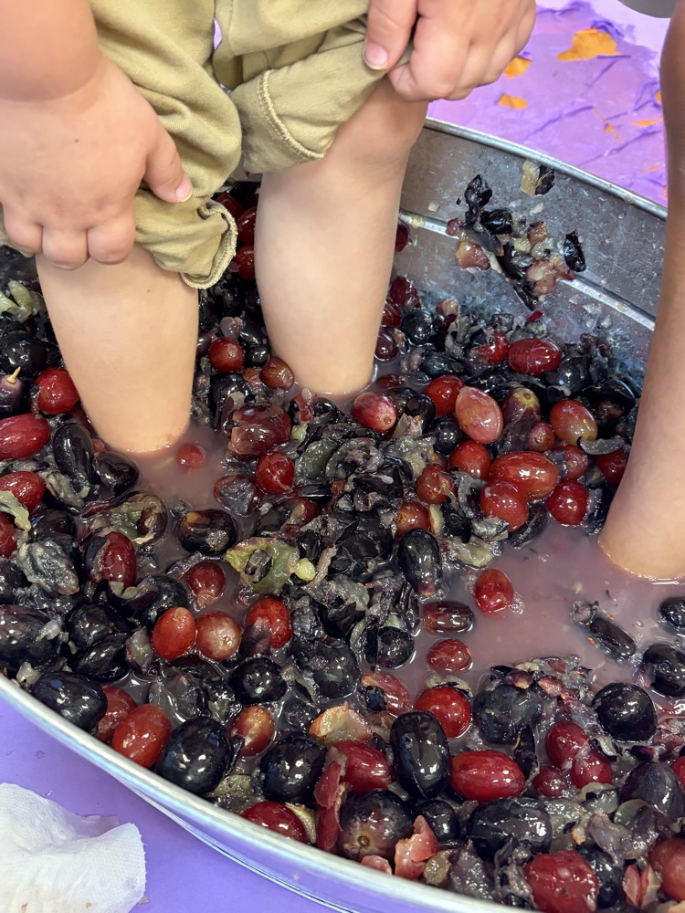 feet in a bucket of grapes
