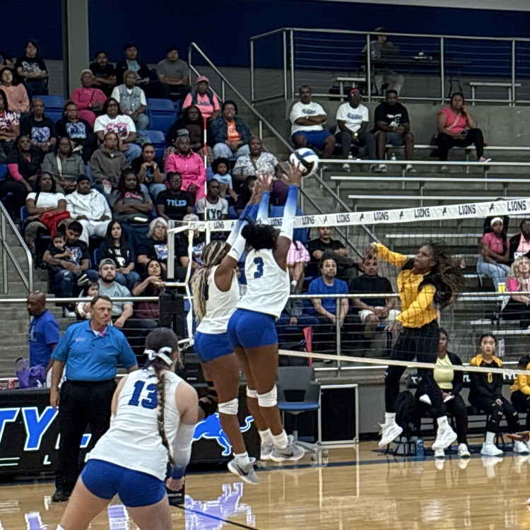 players blocking the ball