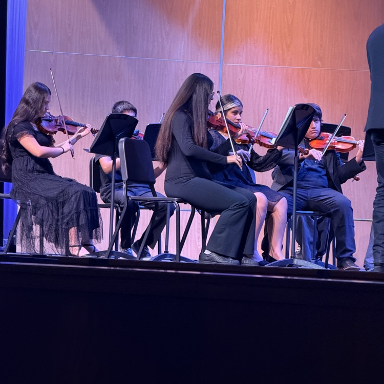 orchestra playing in the stage