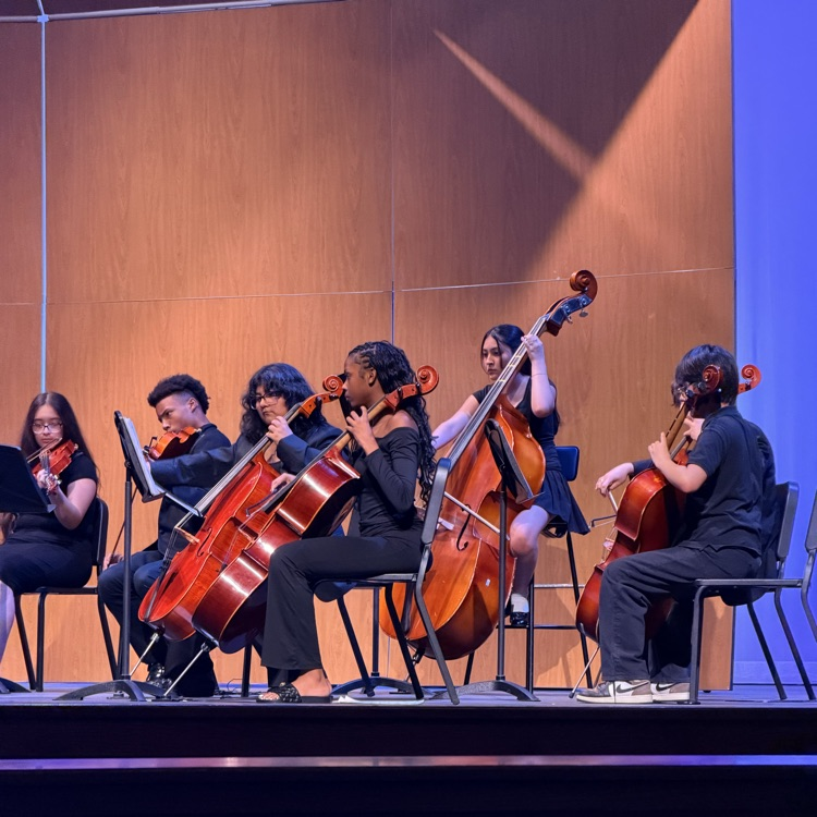 orchestra playing on the stage