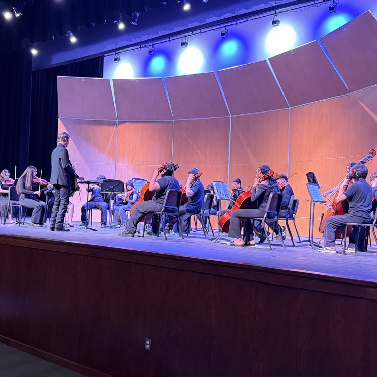 orchestra playing on the stage