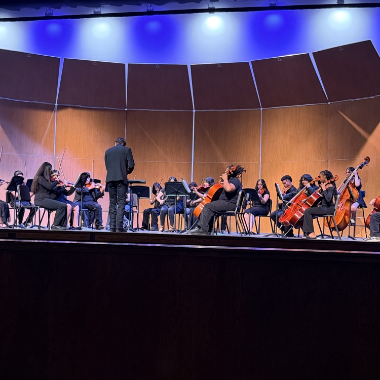 orchestra playing on the stage
