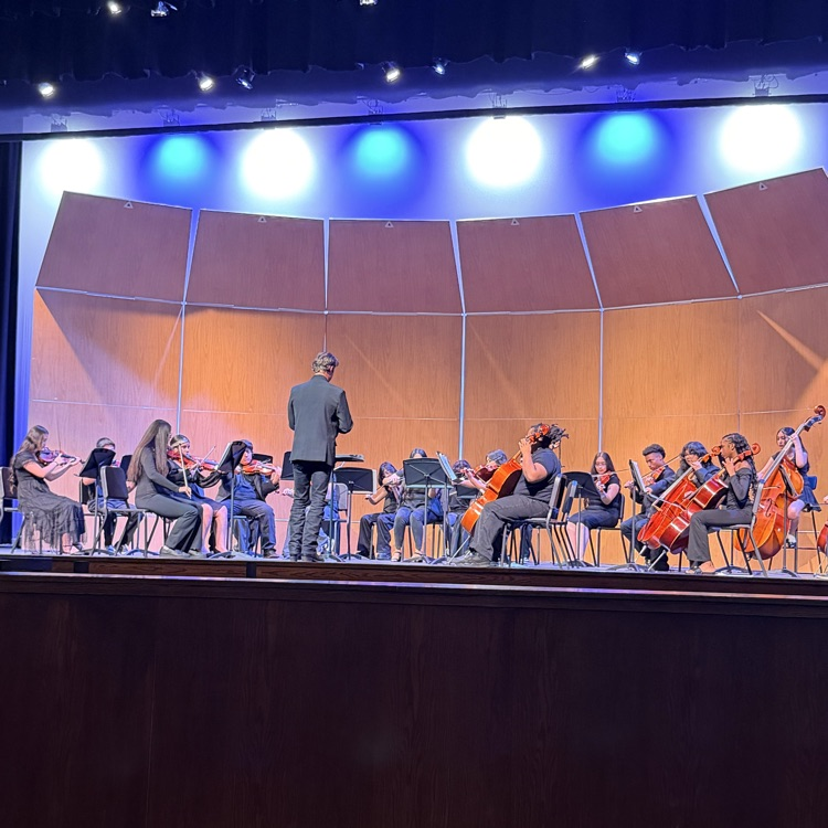 orchestra playing on the stage