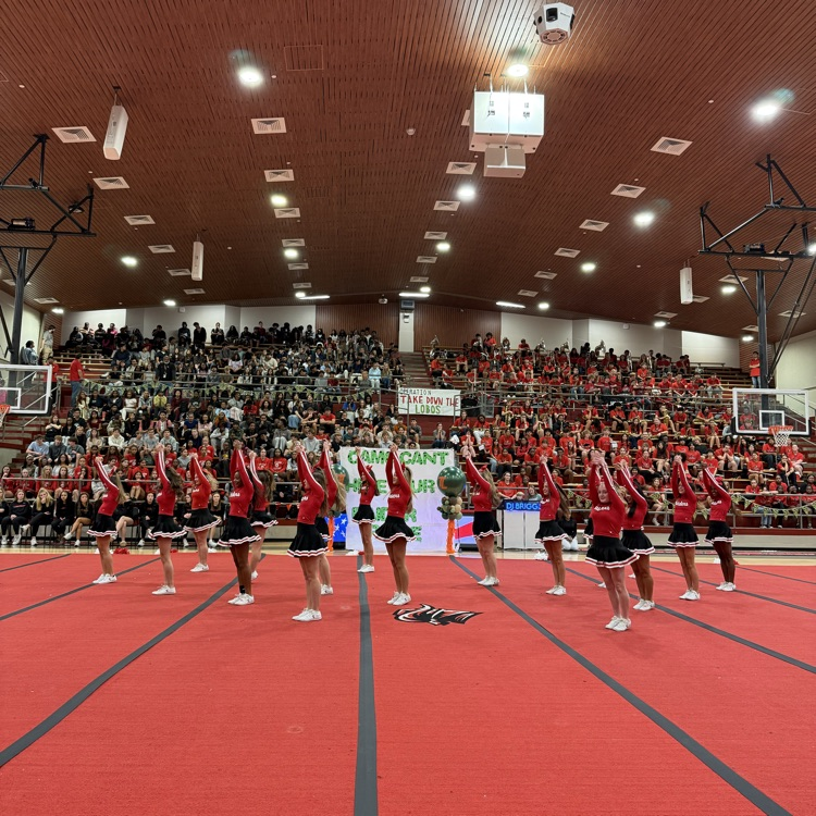 A cheerleading squad in red tops performs on a red floor of a gymnasium, with audience seated in bleachers.
