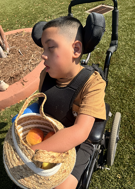 young boy in wheelchair holding basket with apples in it