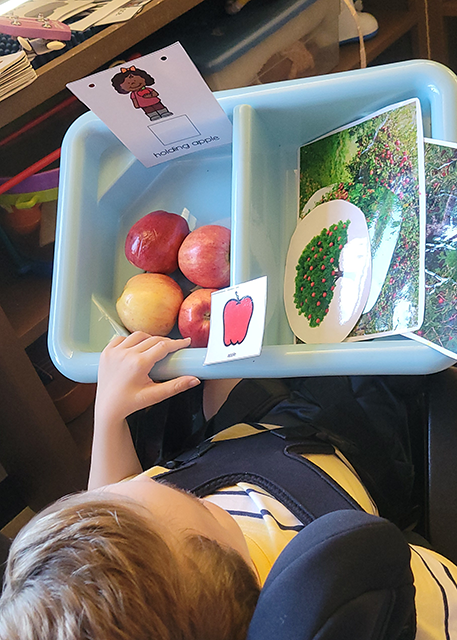 elementary age boy sitting at desk in classroom with tray that has apples in it