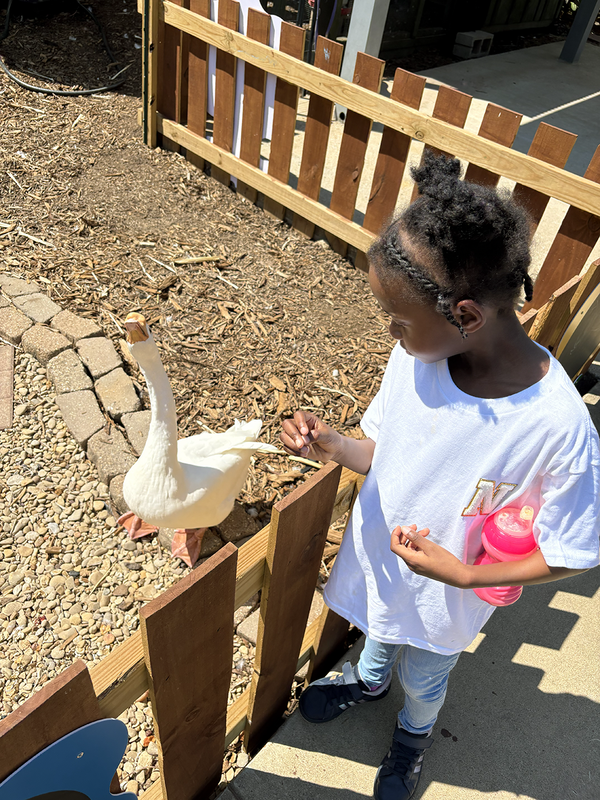 students at Ecoland