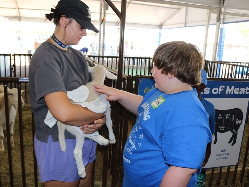 woman holding lamb as boy pets it