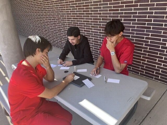 Practicum of Health Science students studying outside.