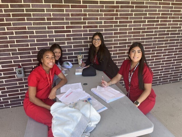 Practicum of Health Science students studyiPracticum of Health Science students studying outside.ng outside.