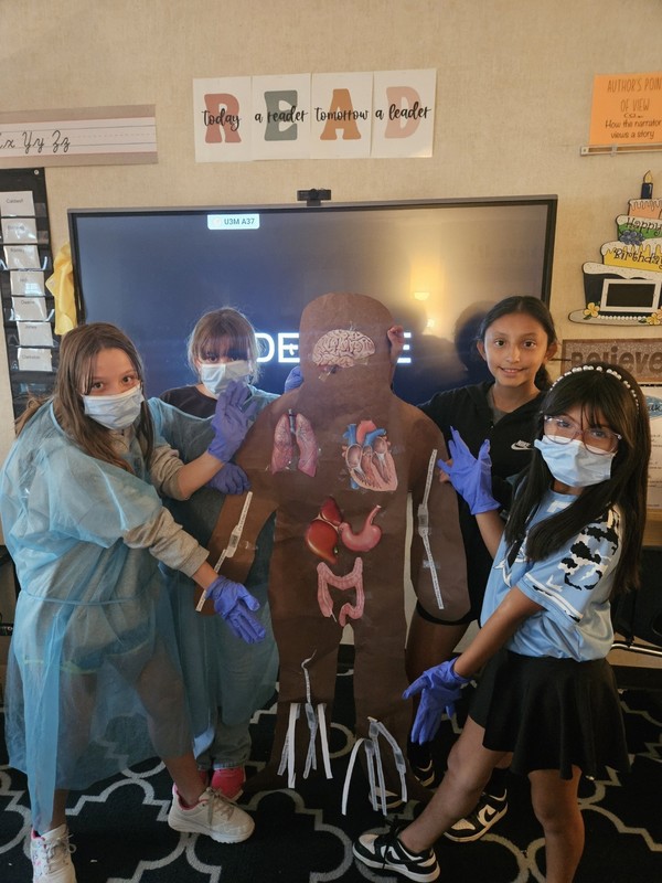 students creating a paper life sized human body with organs