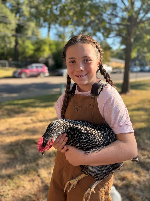 little girl holding a chicken