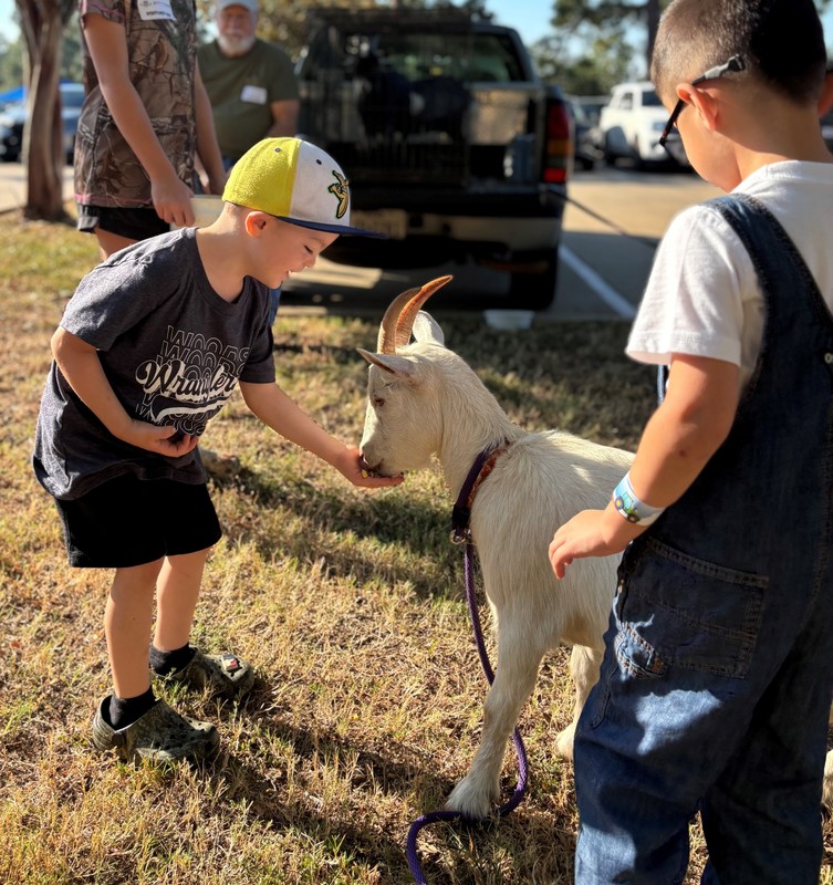 young boy petting a goat