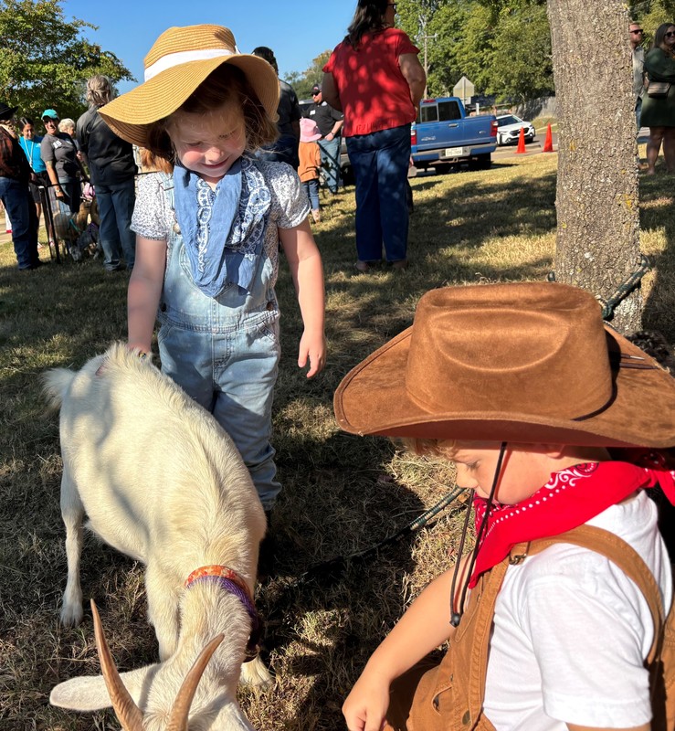 young girl petting goat