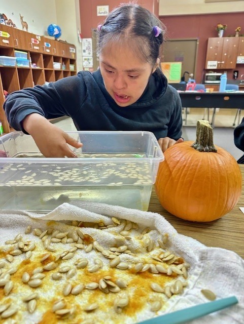 students exploring a pumpkin