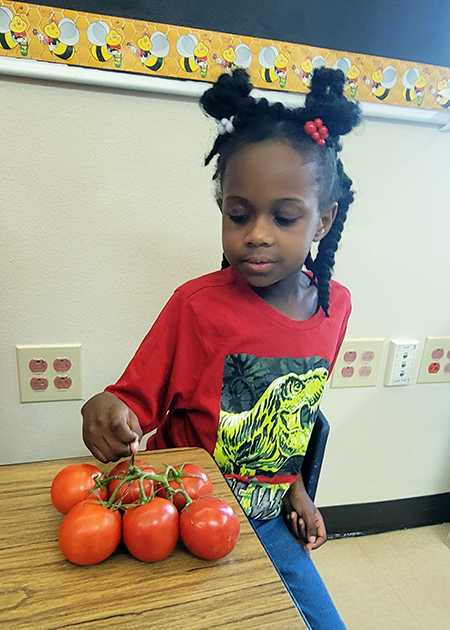 students exploring farm produce
