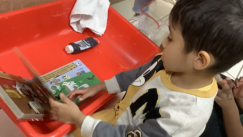 Student reading about the farm