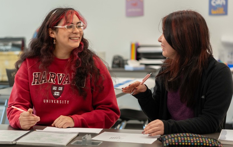 teen girl and woman working together at desk