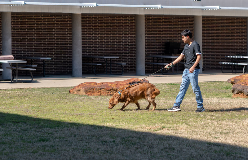 teen boy walking dog outside