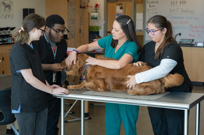 woman and teens examining dog on table