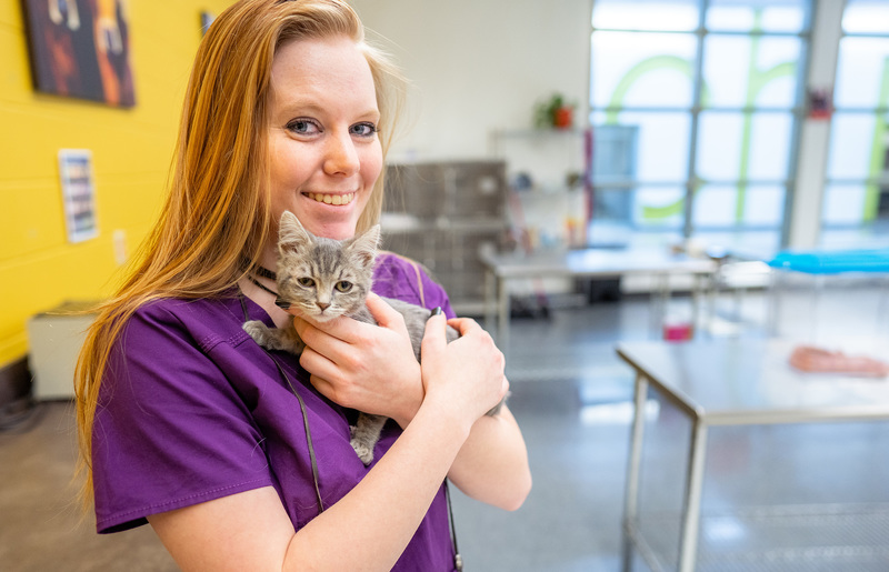 teen girl holding kitten in classroom