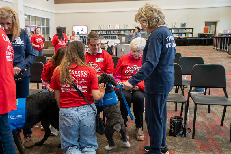group of teens petting dogs
