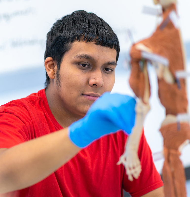 teen boy working with fake muscles in health class