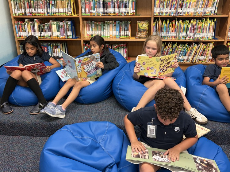 reading in the library