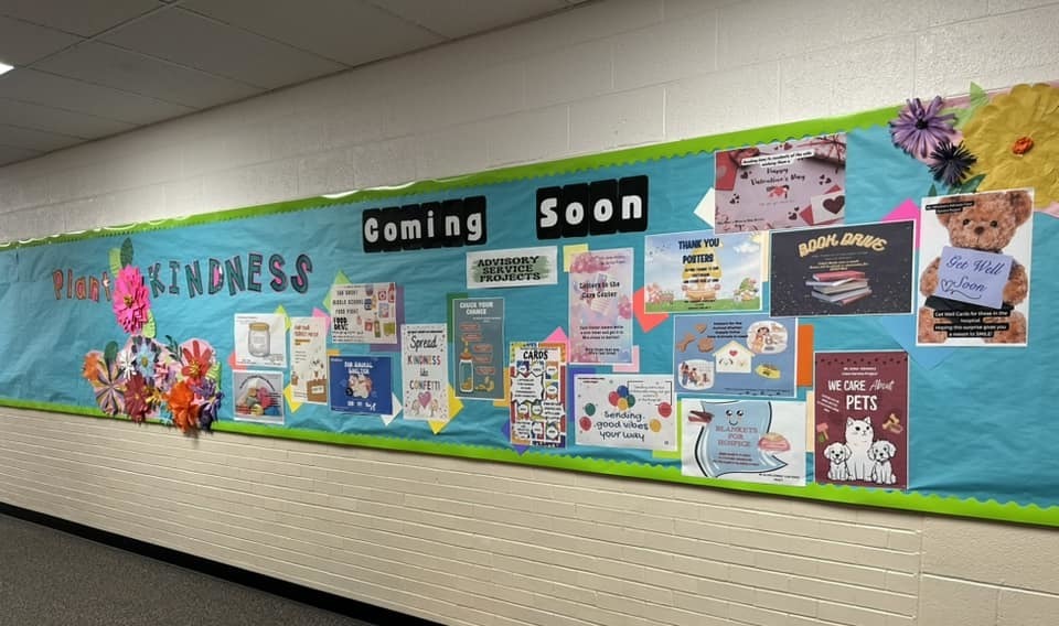 Advisory Project