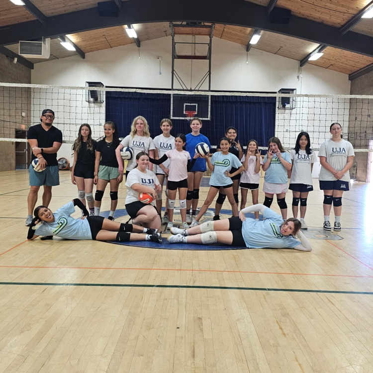 volleyball team