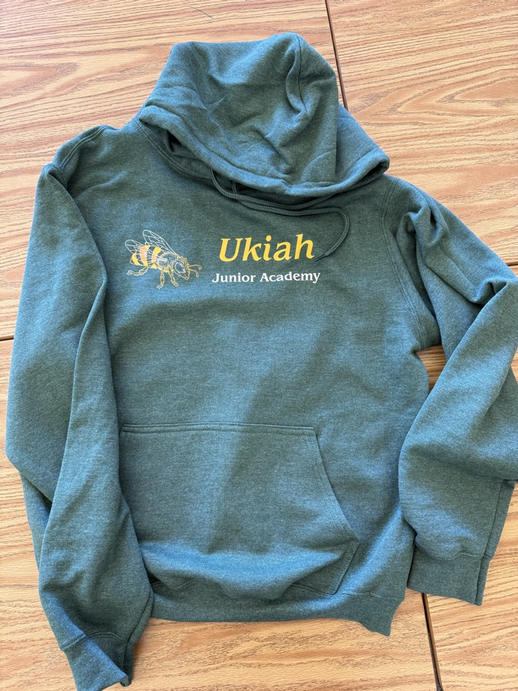 bee pullover