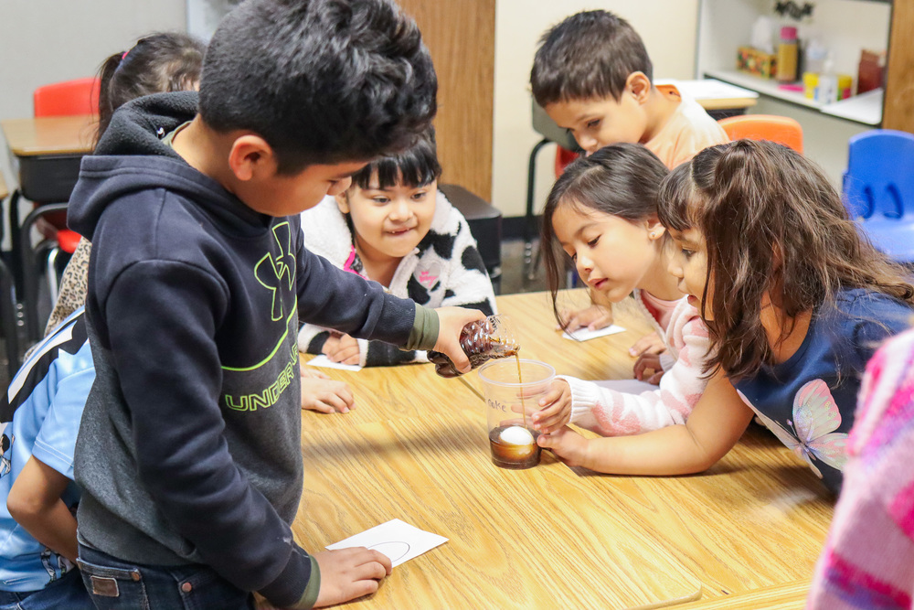 Kinder students submerging egg in coffee