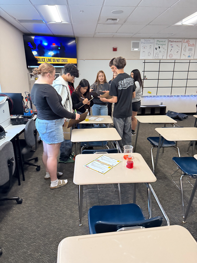 students working together to find clues