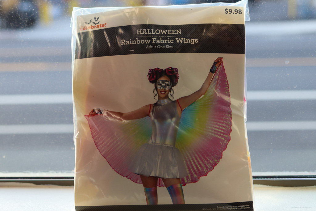 Photo of costume with wings