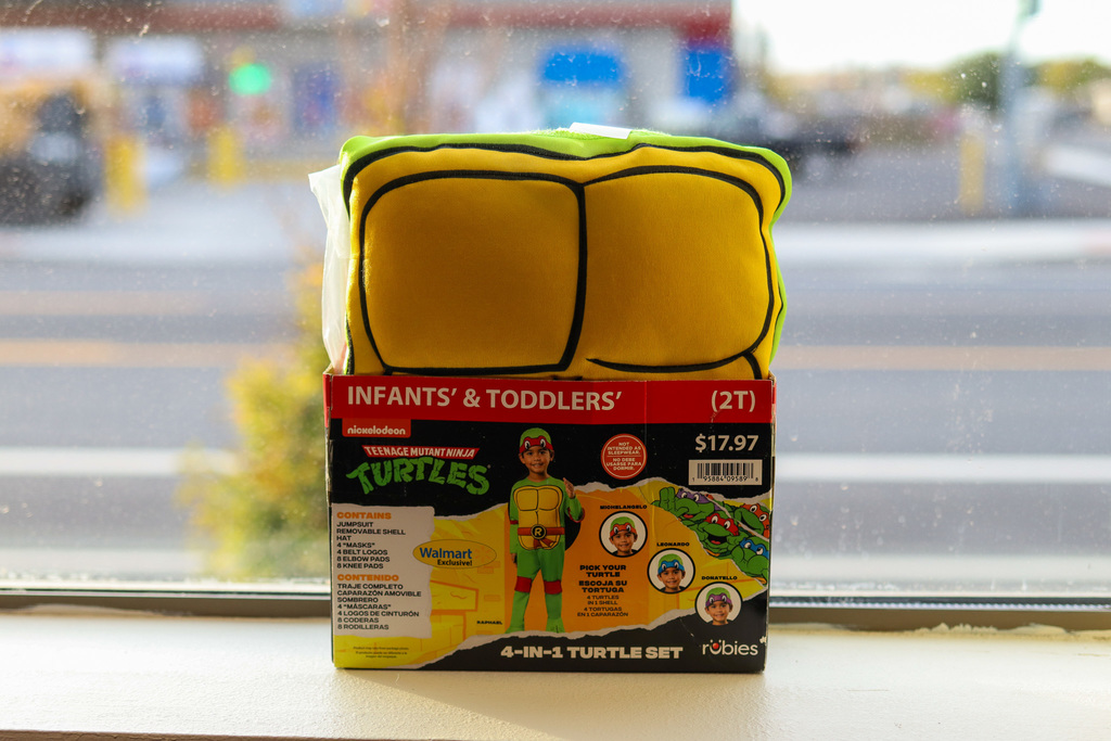 Photo of ninja turtle costume